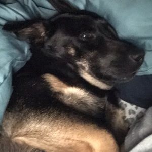 Meet your Posher, Nichole